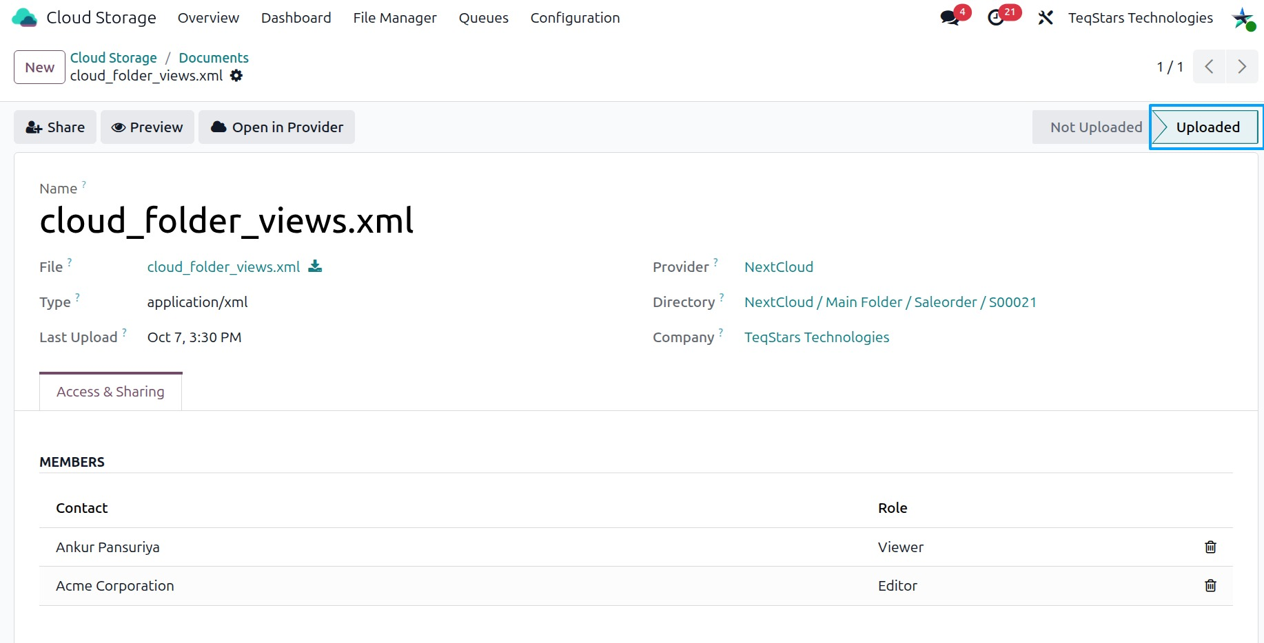 A cloud document with its file details and the Open in Provider button