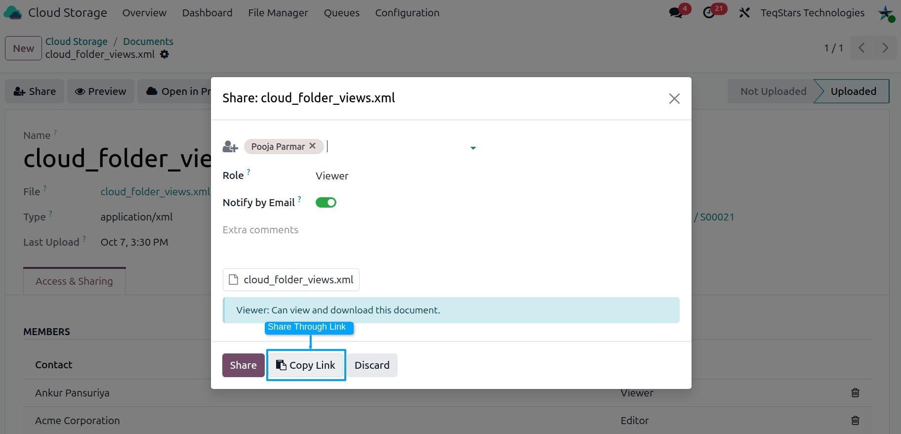 the share wizard with Access through link on and the Share Link shown