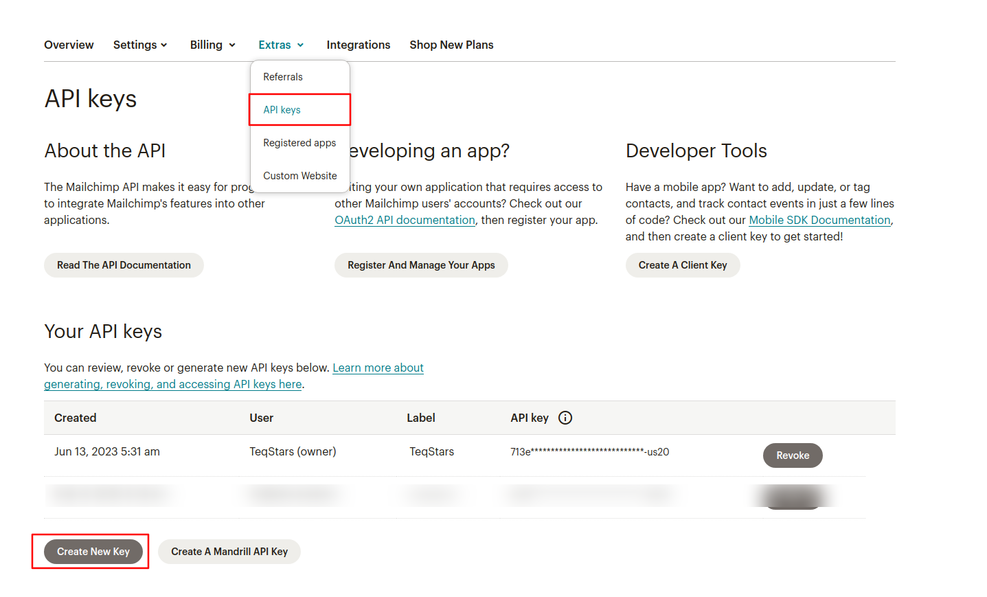 MailChimp API keys page