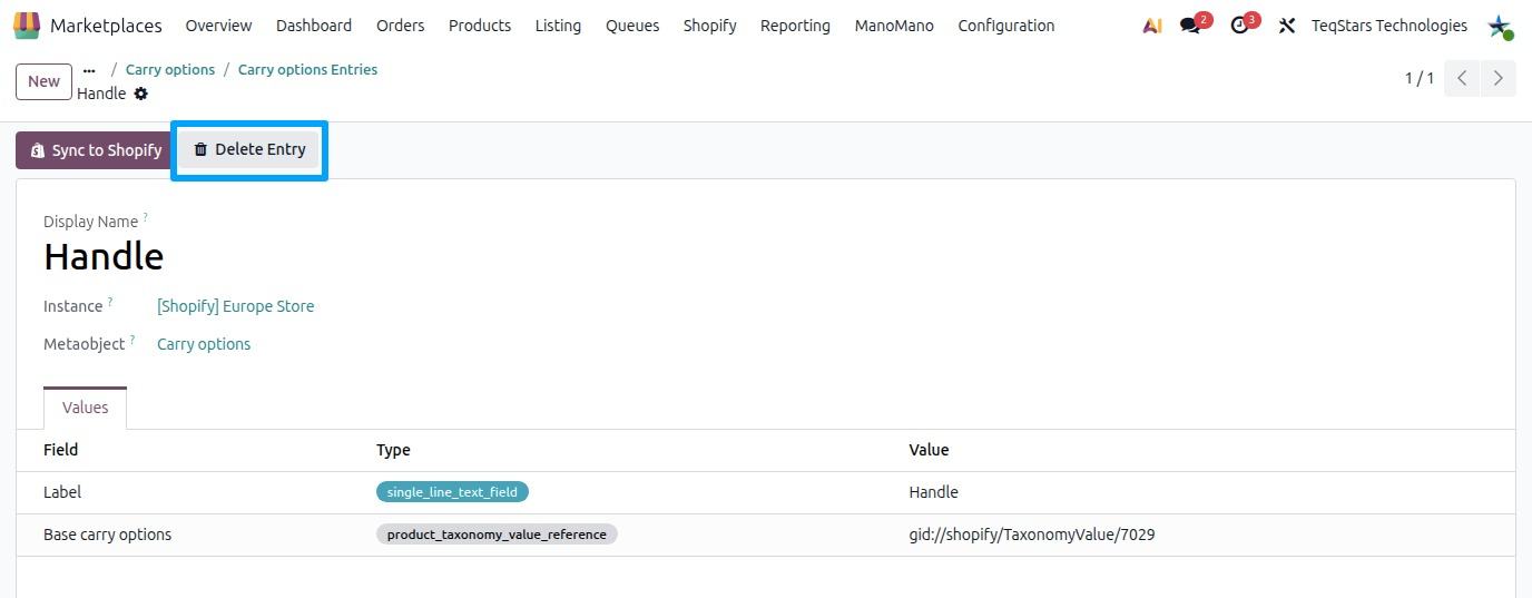 Metaobject entry form with the Delete entry button