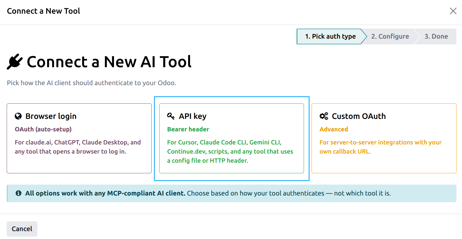 Wizard Step 1 with the API key card highlighted