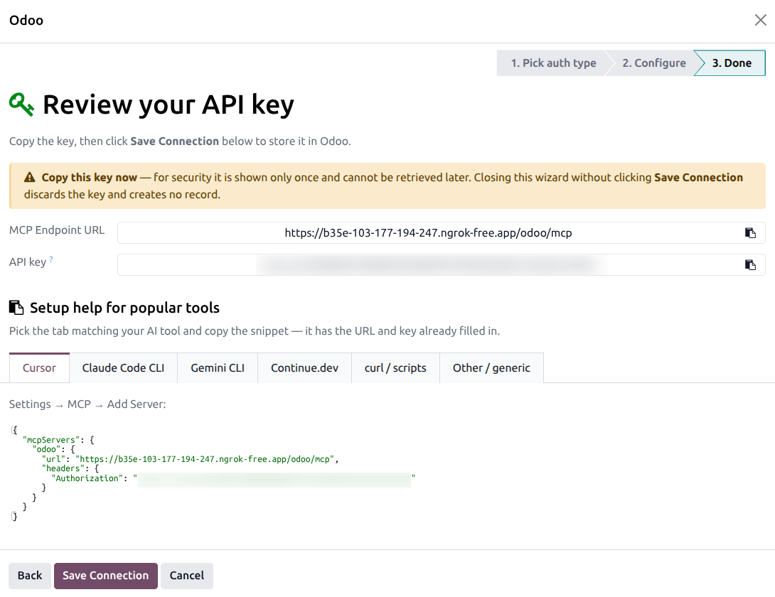 Wizard Step 3 — API key Done step with URL, the masked-looking API key, and tabs for Cursor, Claude Code CLI, Gemini CLI, Continue.dev, curl, and Generic