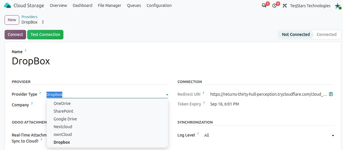 Provider form in Odoo with the Name, Provider Type, Company and Status fields