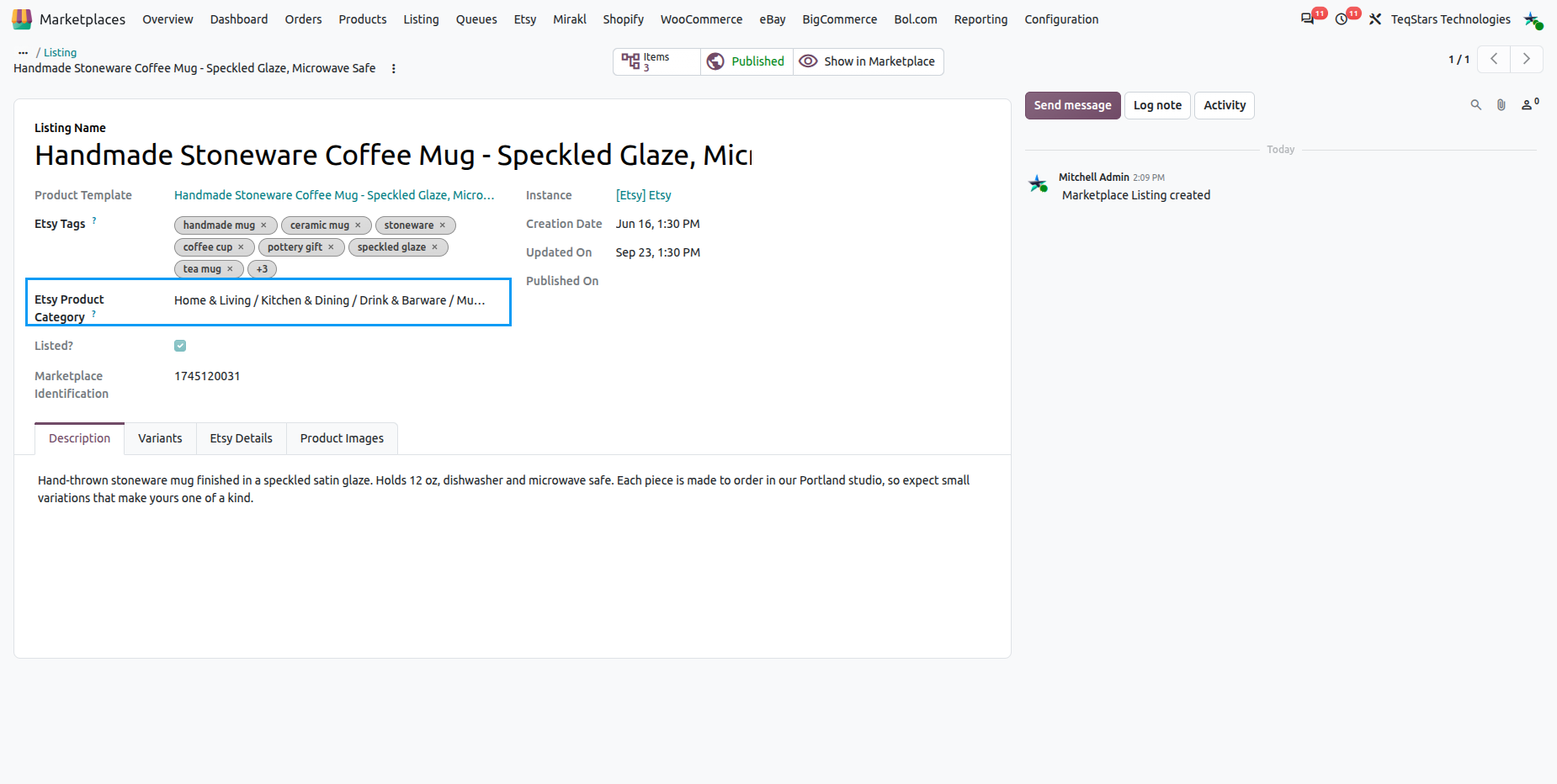 Etsy category set on a listing in Odoo