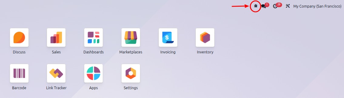 Overview of a console page and the debug icon being shown in Odoo.